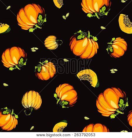 Colorful Pumpkin Sketch Hand Drawn Illustration. Seamless Pattern. Vegetable Engraved Style Illustra