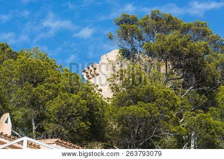 Beautiful Mediteran Impressions, Palm Trees, House Wall And Sky.