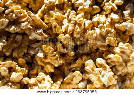 Opened Hazelnuts In A Box In A Autumn Close-up With Indirect Sun Exposure
