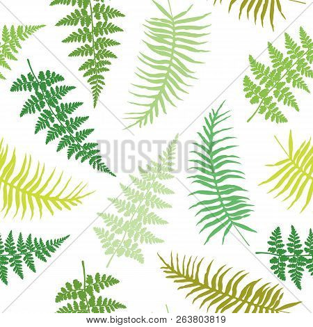 Fern Frond Seamless Vector Illustration, Green And Brown Tropical Forest Plant Leaves On White Backg