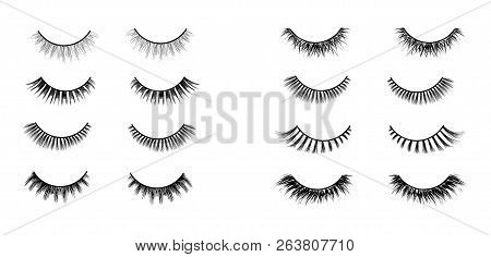 Realistic Lashes Set. Lashes Extensions Vector Illustration.