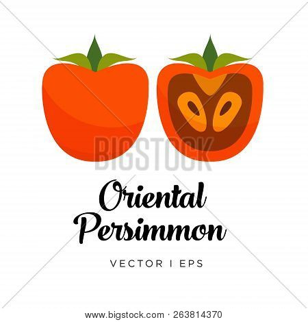 Persimmon Vector Editable Illustration, Oriental Brown Type. Kaki Drawn In Flat Simple Style.