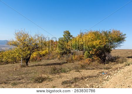 Autumn Landscape Of Cherna Gora (monte Negro) Mountain, Pernik Region, Bulgaria
