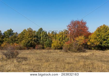 Autumn Landscape Of Cherna Gora (monte Negro) Mountain, Pernik Region, Bulgaria