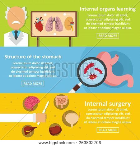 Internal Organs Banner Horizontal Concept Set. Flat Illustration Of 3 Internal Organs Banner Horizon