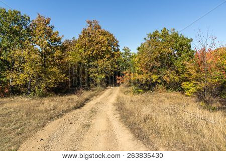 Autumn Landscape Of Cherna Gora (monte Negro) Mountain, Pernik Region, Bulgaria