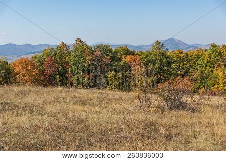 Autumn Landscape Of Cherna Gora (monte Negro) Mountain, Pernik Region, Bulgaria