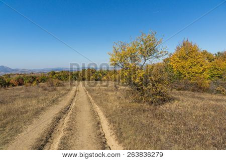 Autumn Landscape Of Cherna Gora (monte Negro) Mountain, Pernik Region, Bulgaria