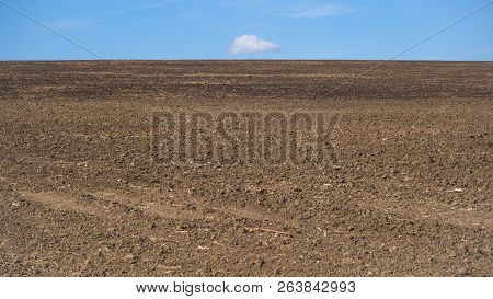 The Sown Field Of The Earth To The Horizon