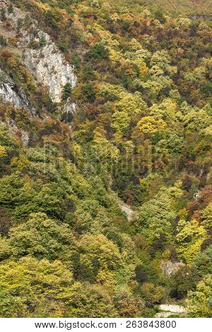 Amazing Autumn Ladscape With  Forest Around Krichim Reservoir, Rhodopes Mountain, Bulgaria