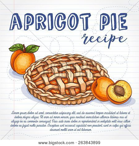 Vector Color Sketch Apricot Pie Reciep, Lime Art, Hand Drawn Illustration On Notebook Page