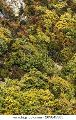 Amazing Autumn Landscape With  Forest Around Krichim Reservoir, Rhodopes Mountain, Bulgaria
