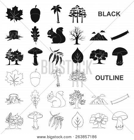 Forest And Nature Black Icons In Set Collection For Design. Forest Life Vector Symbol Stock Web Illu