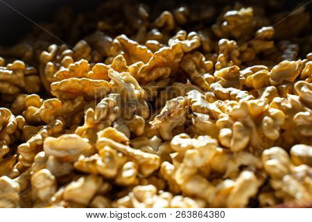 Opened Hazelnuts In A Box In A Autumn Close-up With Indirect Sun Exposure