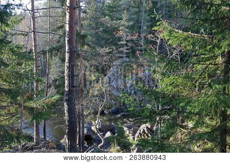 Waterfall Kivach, Karelia, Russia