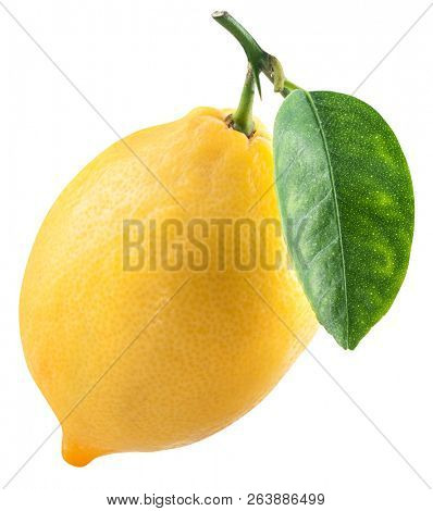 Ripe lemon fruit with lemon leaf on white background. File contains clipping path.