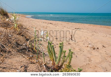 Beautiful Landscape With A Sea At Kalogria On Peloponnese, Greece