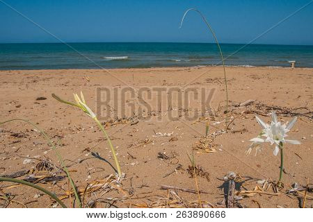 Beautiful Landscape With A Sea At Kalogria On Peloponnese, Greece
