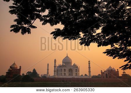 View Of Taj Mahal Framed By A Tree Crown At Sunset, Agra, Uttar Pradesh, India. Taj Mahal Was Design