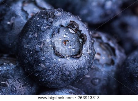 Fresh Ripe Blueberry With Drops Of Dew. Berry Background. Macro Photo.