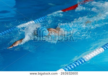 Image of sporty man swimming in style of crawl in swimming pool