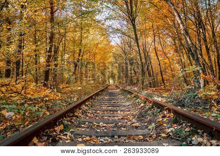 love tunnel in autumn