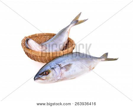 Whole Round Yellowtail Fish Or Hamachi Fish In The Basket And On White Background