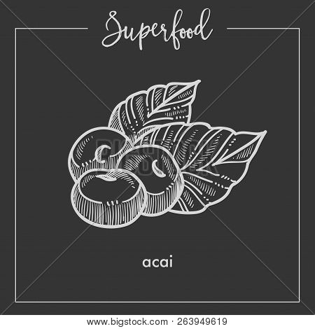Delicious Healthy Ecotic Acai Monochrome Superfood Sepia Sketch.