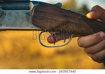 Pulled The Trigger Of The Shotgun. Hunter With Shotgun Gun On Hunt