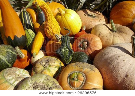 Pumkins su un rimorchio