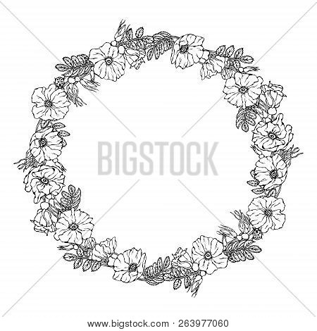 Round Frame With Wild Roses. Summer Flowers Greeting Card Or Wedding Background. Hand Drawn Illustra