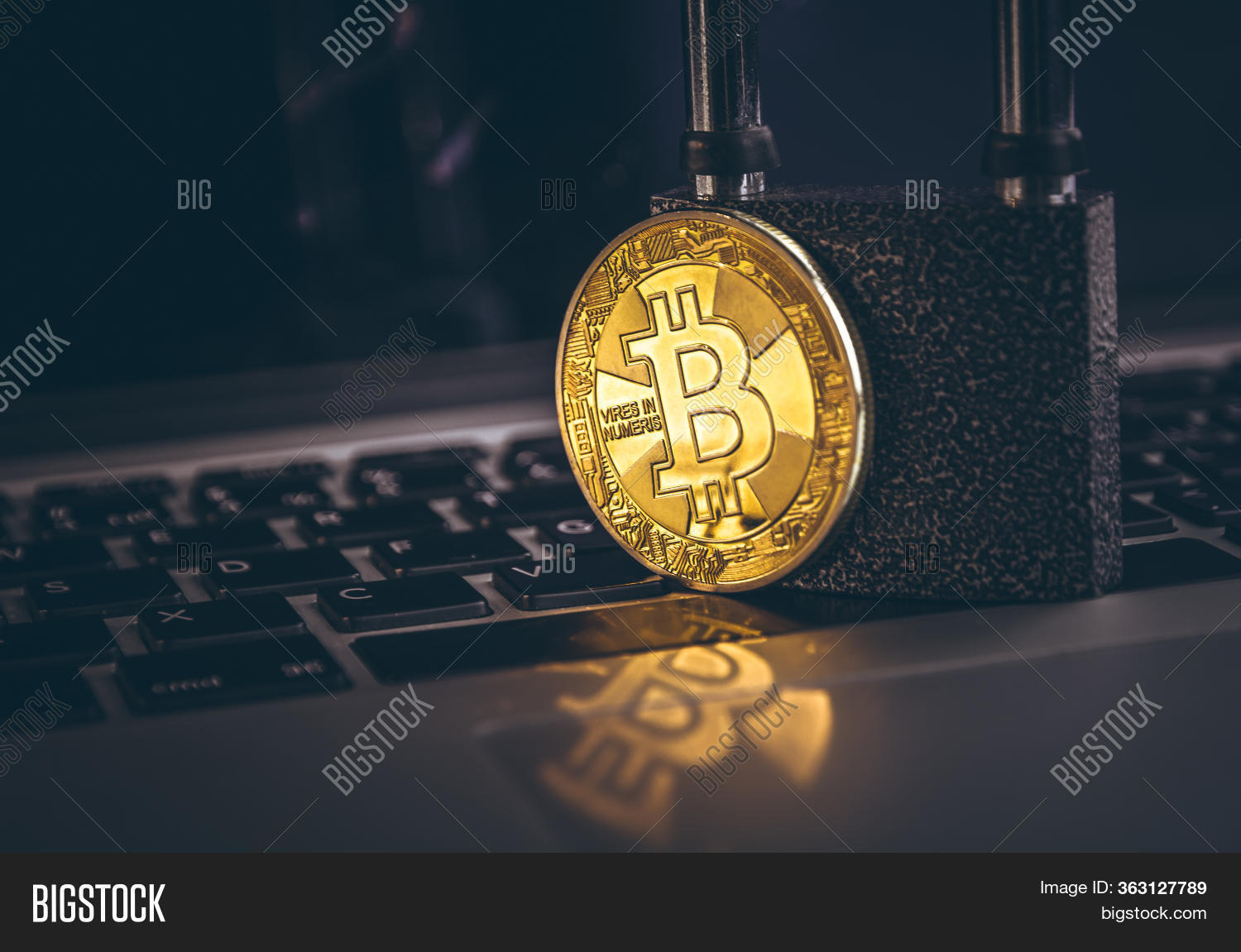 cumpărați haine cu bitcoin bitcoin profit piattaforma