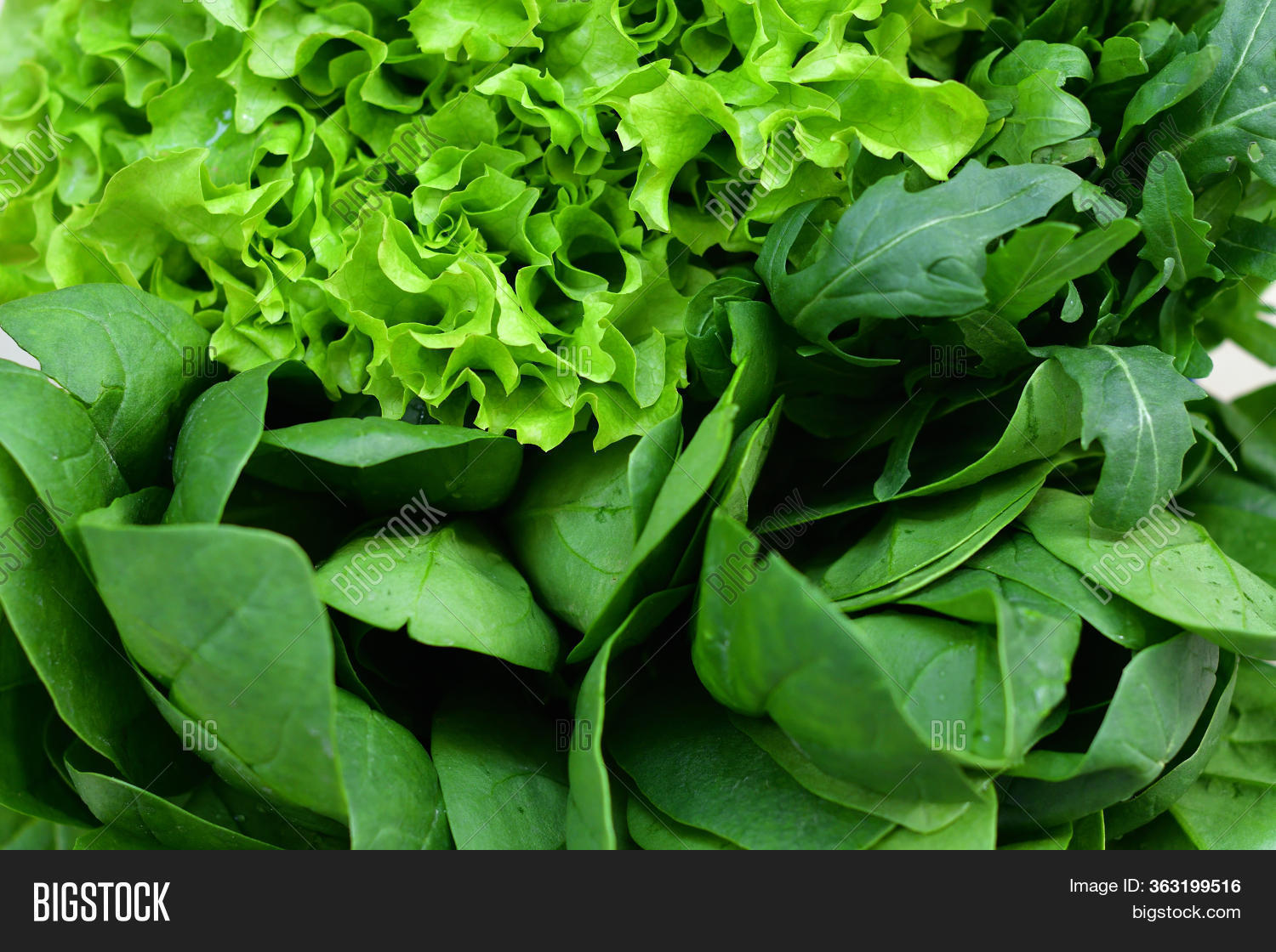 Fresh Organic Raw Image & Photo (Free Trial) Bigstock