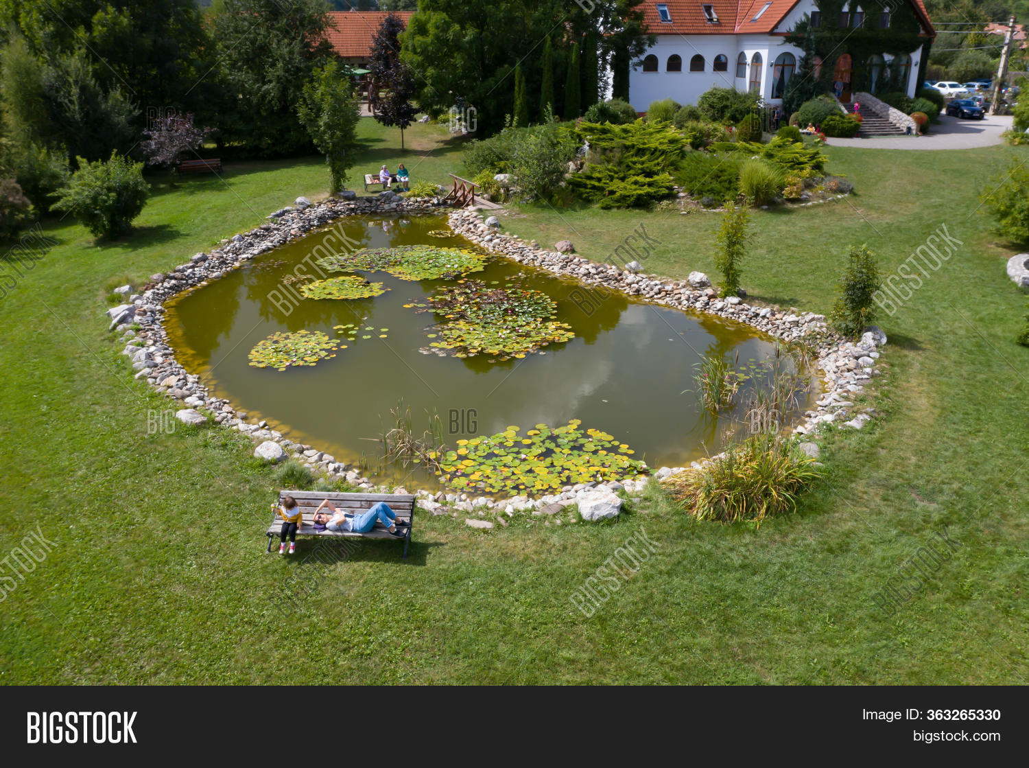 Aerial View Small Pond Image & Photo (Free Trial) Bigstock