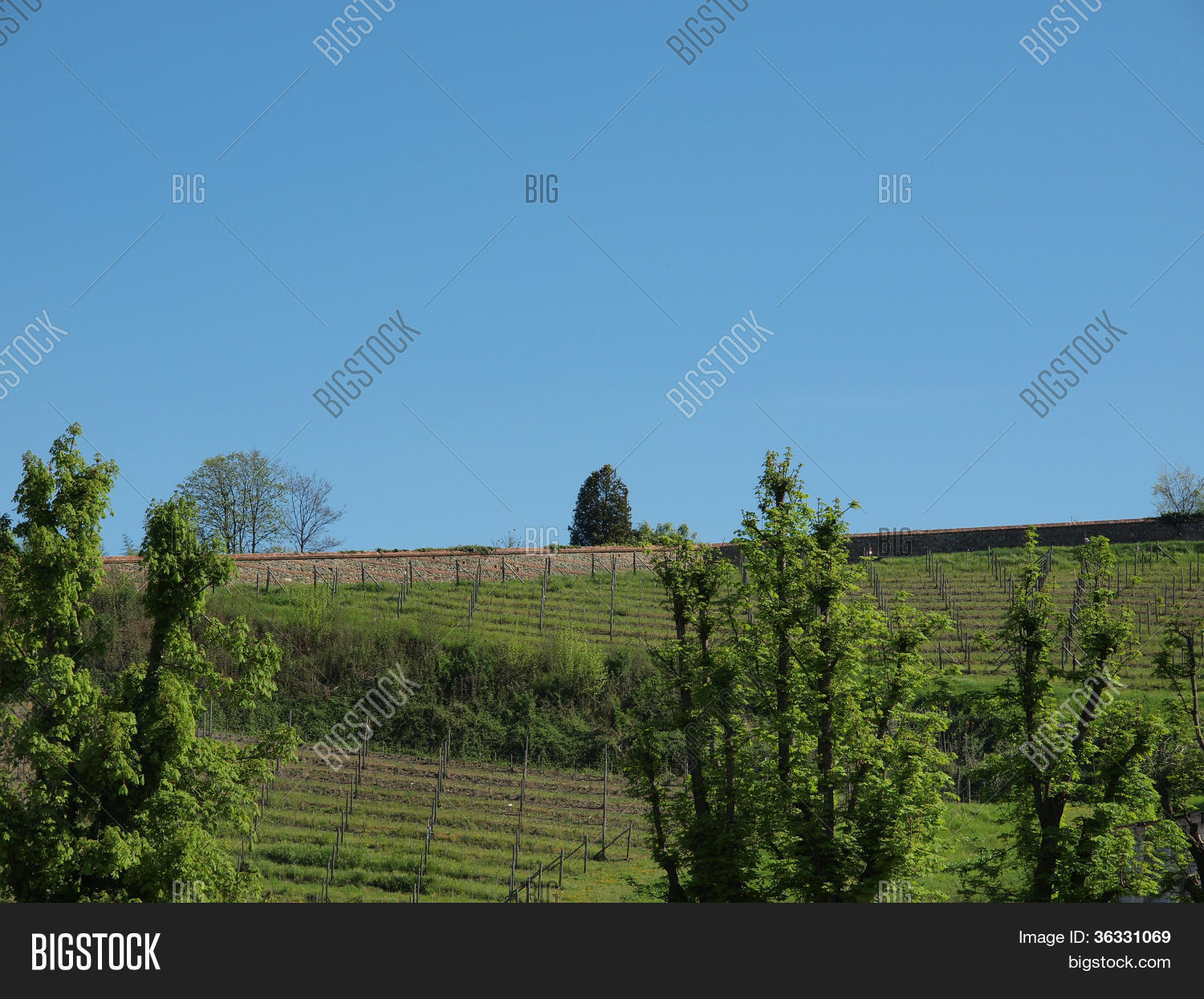 Image Preview