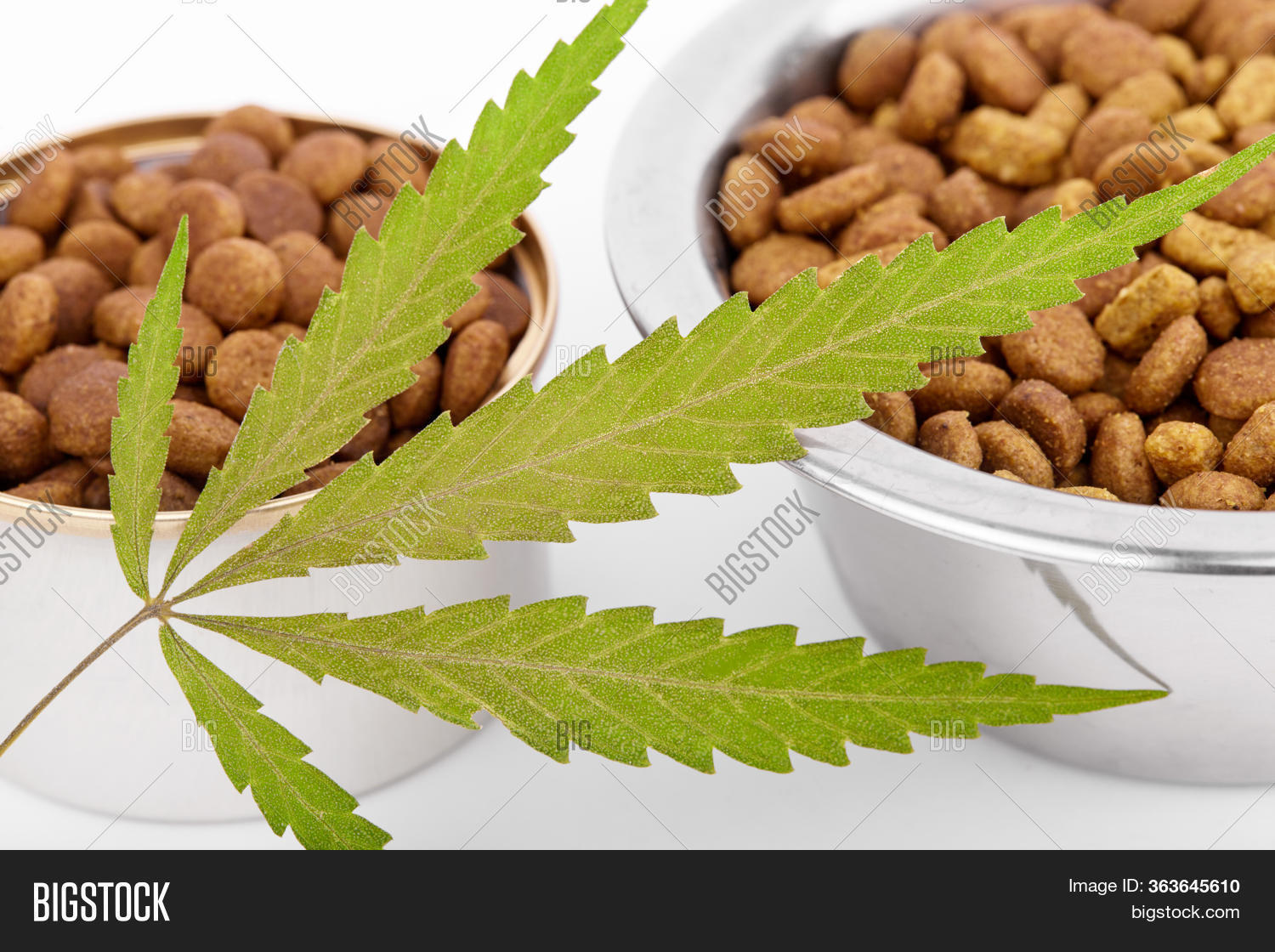 Food Cbd Pet, Vitamins Image & Photo (Free Trial) Bigstock
