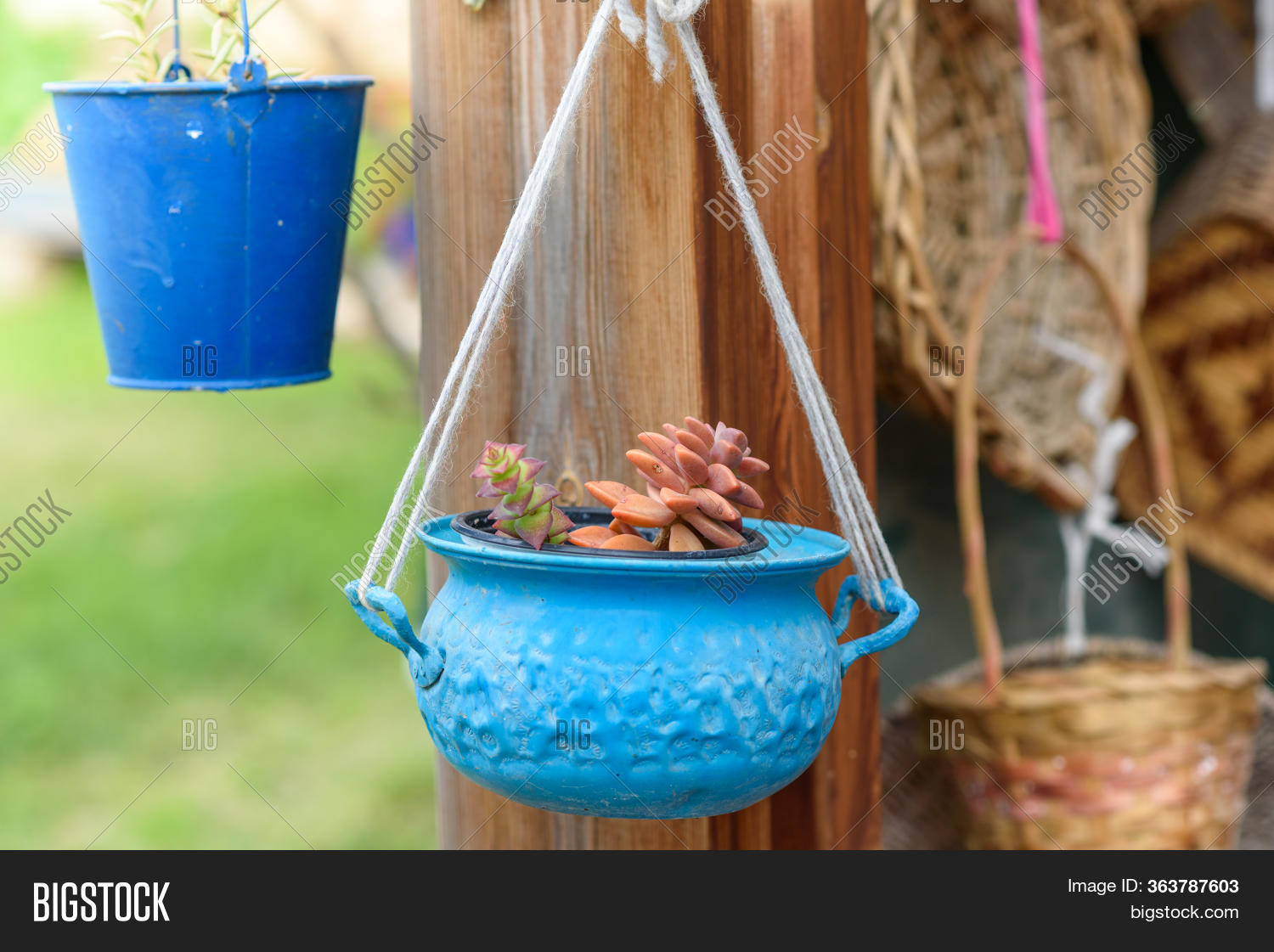 Reused Planter Ideas. Image & Photo (Free Trial) | Bigstock
