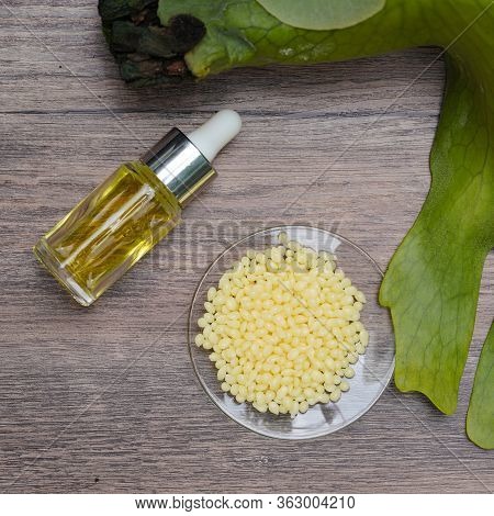 Candelilla Wax Sp-75. Chemical Ingredient For Cosmetics & Toiletries Product.