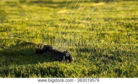 Lawn Sprinkler Spraying Water Over Green Grass. Modern Device Of Irrigation Garden Grass. Irrigation