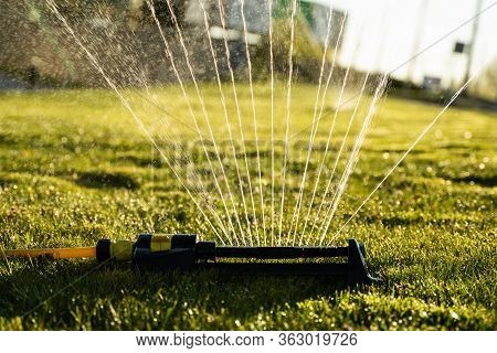 Lawn Sprinkler Spraying Water Over Green Grass. Modern Device Of Irrigation Garden Grass. Irrigation