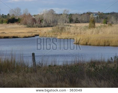 Marsh