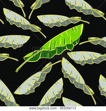 Seamless Pattern Banana Leaves Nature Tropical With Black Background