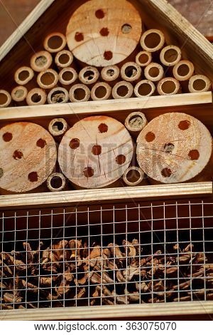 Close Up, Architecture Of An Insect Hotel.
