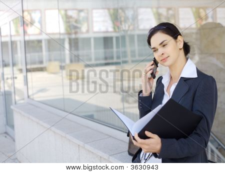 Business Call