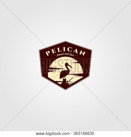 Pelican Bird Logo Vintage With Sun Background Vector Illustration Design