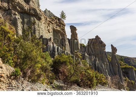 Nature Is A Great Builder. Beauty Of North Island. Wonders Of New Zealand.