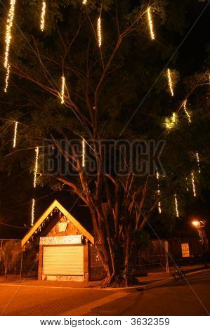 Lights