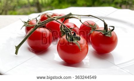 Red Fresh Tomatoes On The White Background