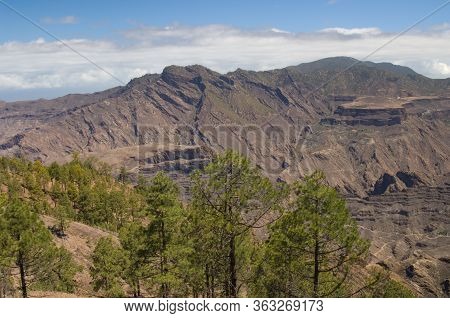 Integral Natural Reserve Of Inagua, Mesa Del Junquillo, Mesa De Acusa And Tamadaba Natural Park.