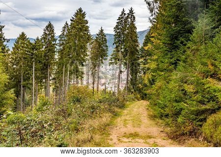 Trail With City View Of Forbach Village And Black Forest Trees, Germany